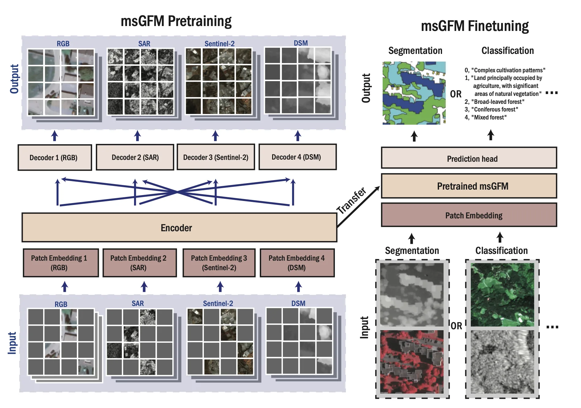 msGFM cross-sensor pretraining and downstream transfer architecture