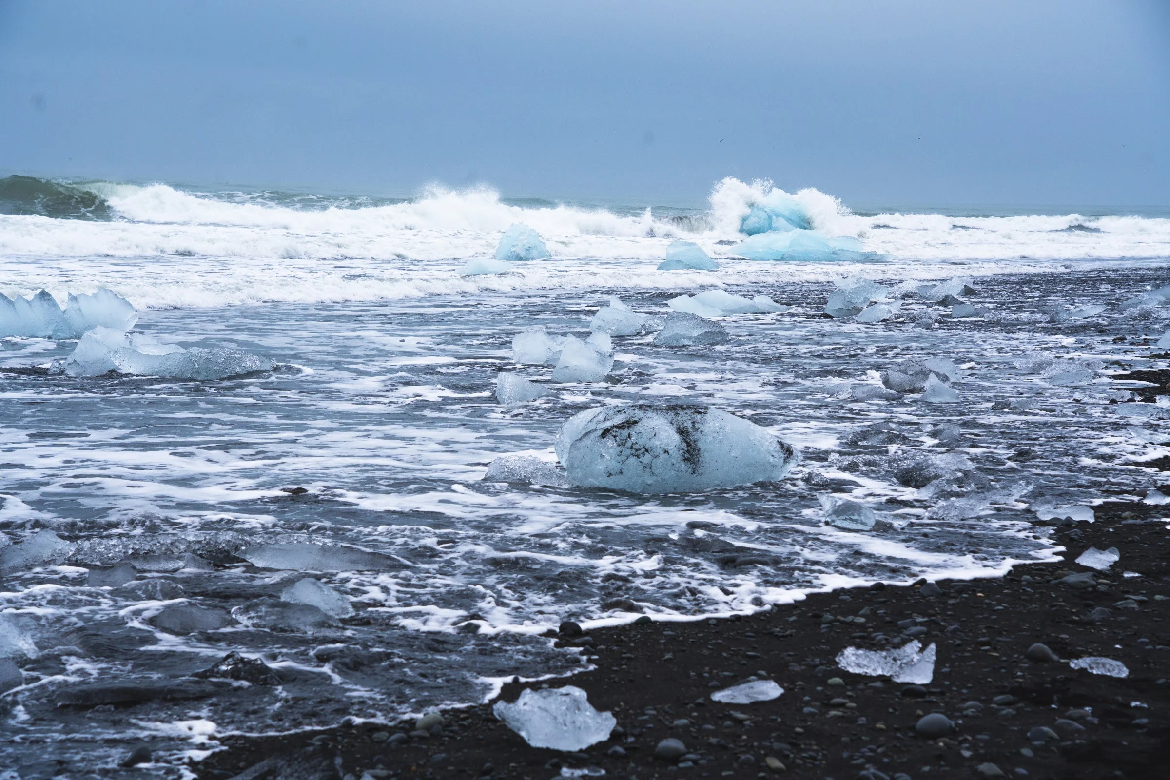 Fragments of clear ice at the edge of the ocean.
