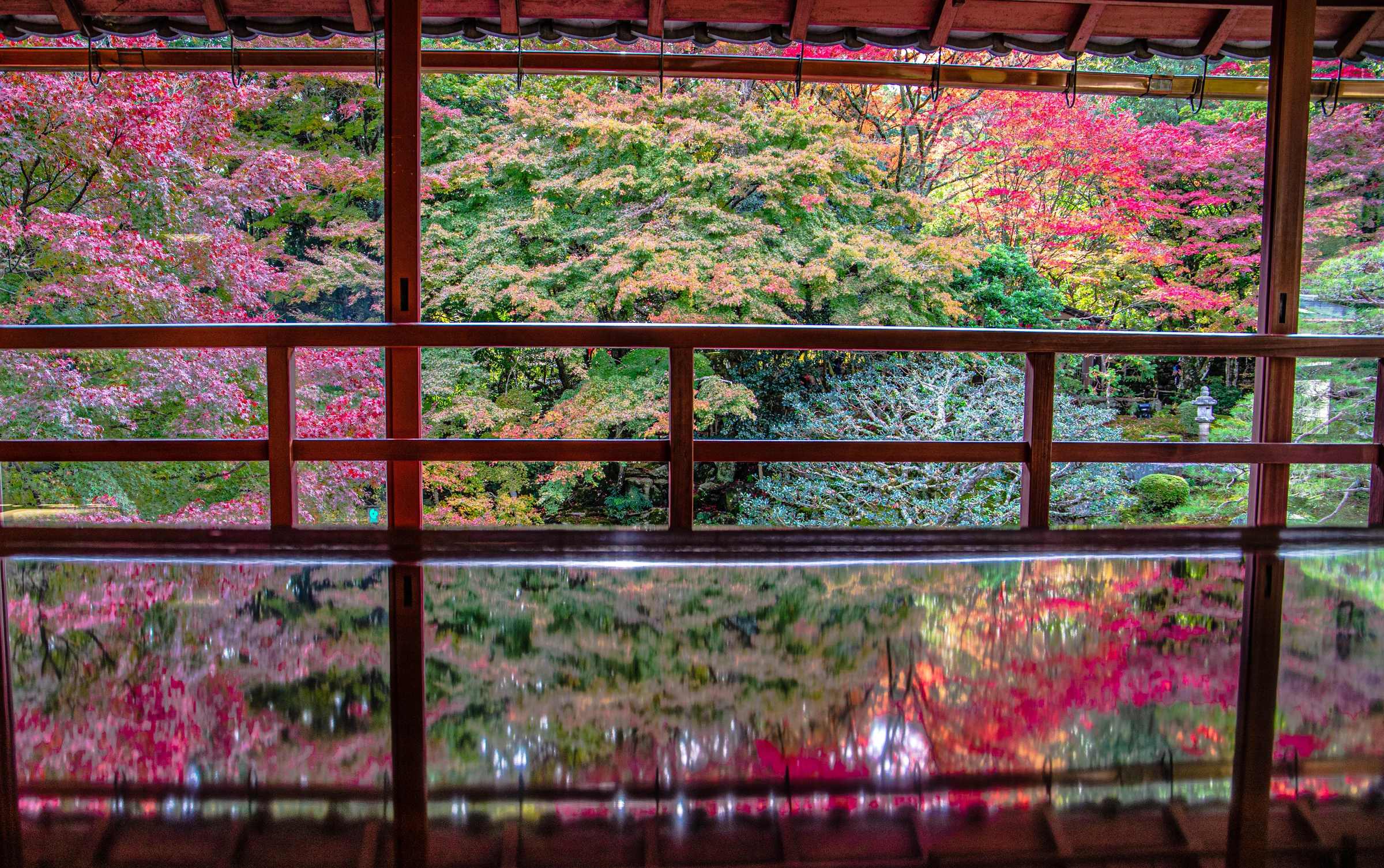 A Kyoto temple veranda reflecting a layered garden of pink, red, and green foliage.