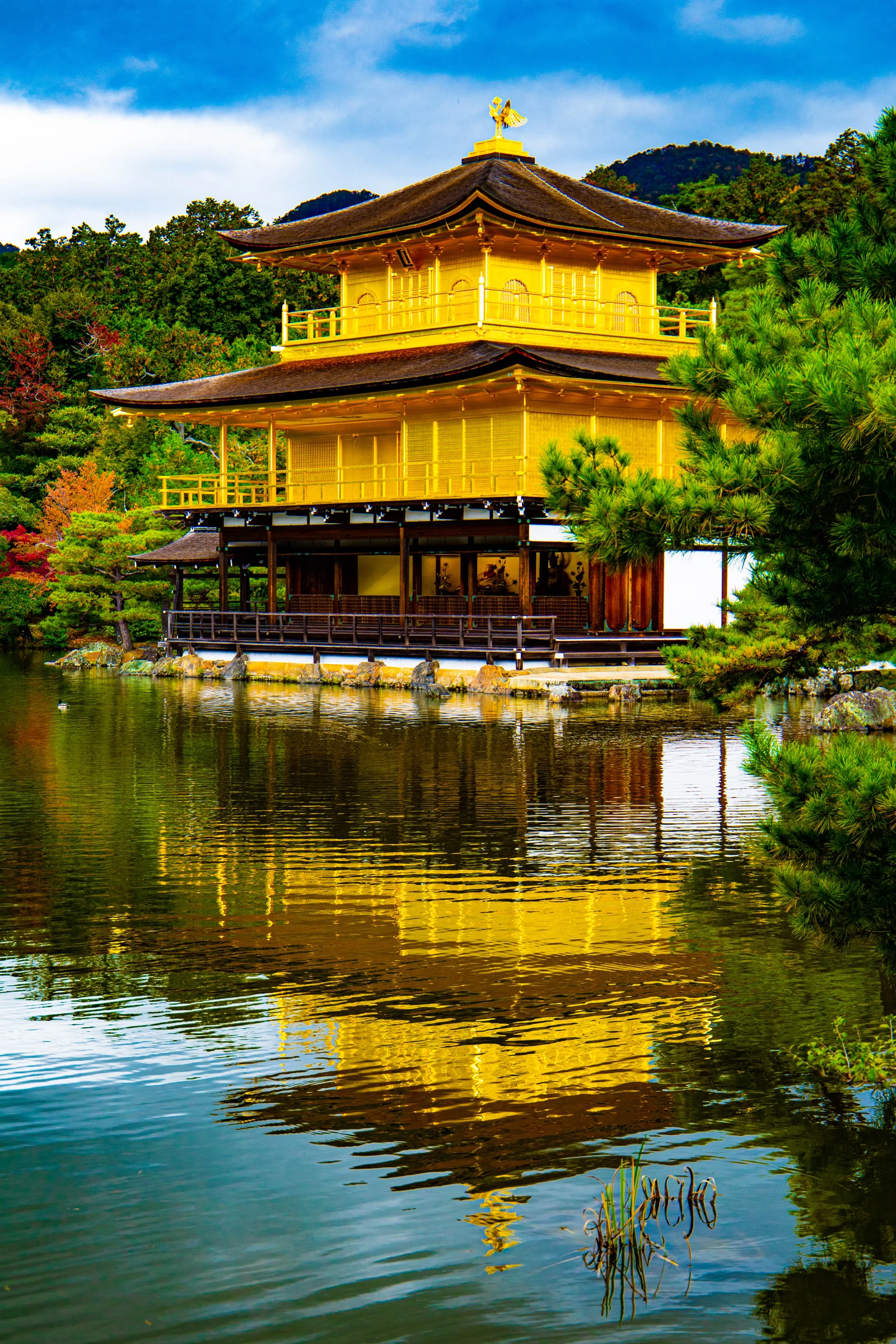 The golden pavilion of Kinkaku-ji reflected in its pond among autumn trees.