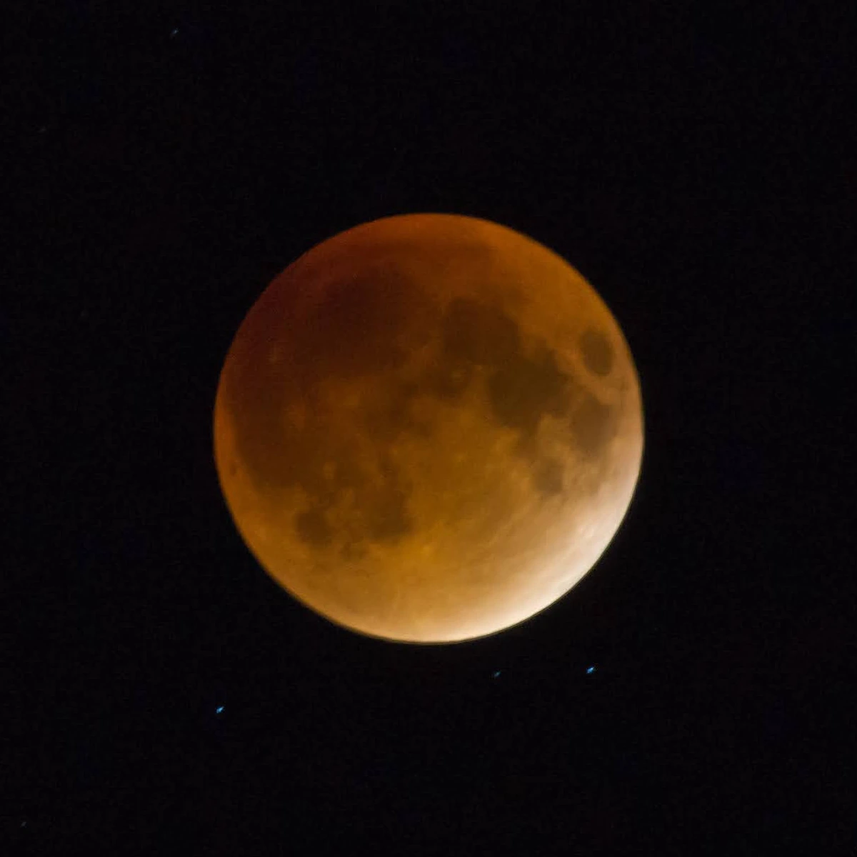 A close crop of the copper-colored Moon during a lunar eclipse against a sparse star field.