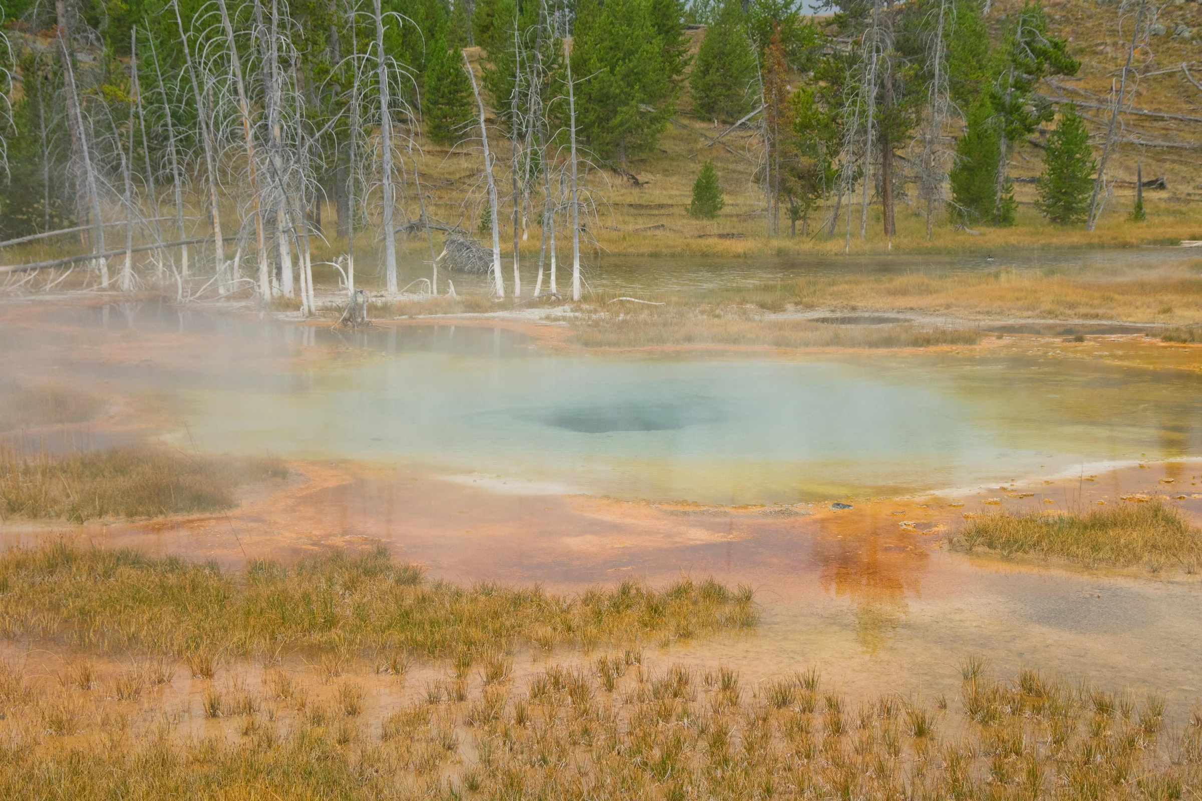 Steam drifting across a turquoise hot spring edged with orange mineral mats.